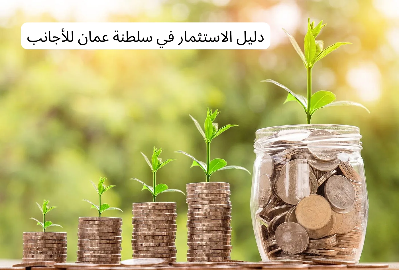 الاستثمار في سلطنة عمان للأجانب