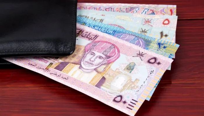 نظام حماية الأجور
