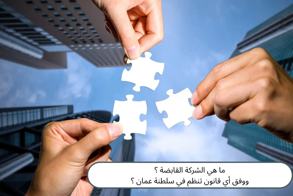 الشركة القابضة